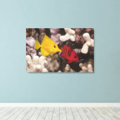 Een gele Tang Canvas Afdruk (Insitu (Houten vloer))