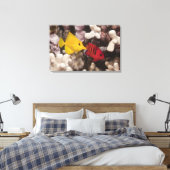 Een gele Tang Canvas Afdruk (Insitu (Slaapkamer))