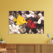 Een gele Tang Canvas Afdruk (Insitu (Woonkamer))