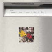 Een gele Tang Magneet (Insitu (Vaatwasser))