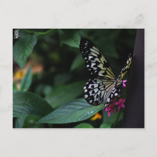 Een Gele Vlinder op Roze Bloemen Briefkaart