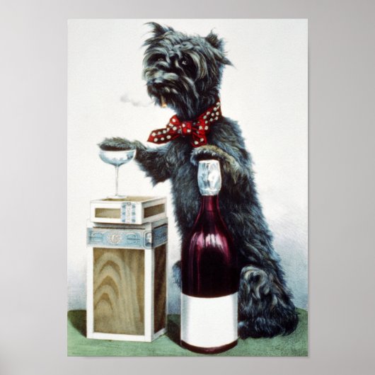 Een geleidehond poster (Voorkant)