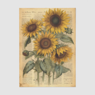 Een gelukkig boeket zonnebloemen op krantenpapier tissuepapier