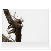 Een gelukkig (?) Eagle Couple (Binnen Horizontaal (Boven))