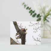 Een gelukkig (?) Eagle Couple Briefkaart (Staand voorkant)