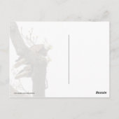 Een gelukkig (?) Eagle Couple Briefkaart (Achterkant)
