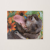 Een gelukkige Duitse Shorthaired Pointer met zonne Legpuzzel (Horizontaal)