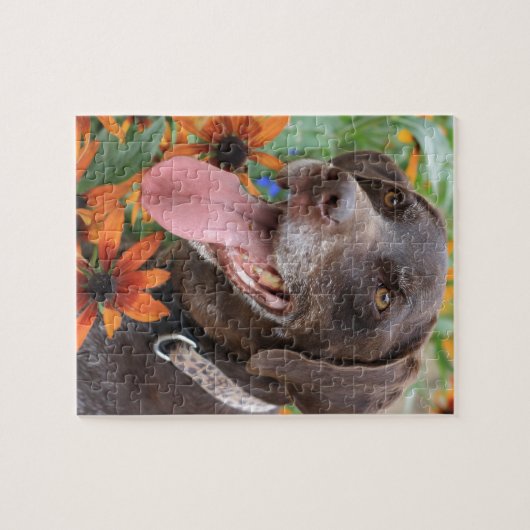 Een gelukkige Duitse Shorthaired Pointer met zonne Legpuzzel (Horizontaal)