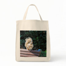 Een gelukkige eekhoorn in DC