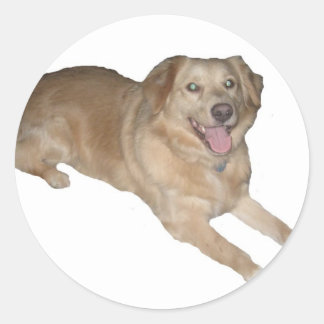 Een gelukkige hond! ronde sticker