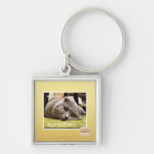 Een gelukkige kat, uit gelukkig sleutelhanger (Voorkant)