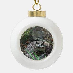 Een gelukkige Kikker Keramische Bal Ornament