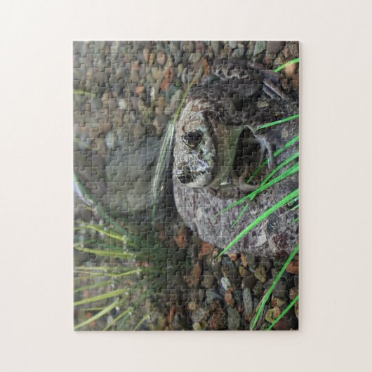 Een gelukkige Kikker Legpuzzel (Verticaal)