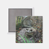 Een gelukkige Kikker Magneet (Voorkant / Achterkant)