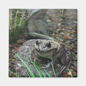 Een gelukkige Kikker Magneet (Voorkant)