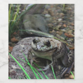 Een gelukkige kikker wijn etiket (Enkel label)