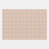 Een gemengde insectenverzameling inpakpapier vel (Voorkant 3)