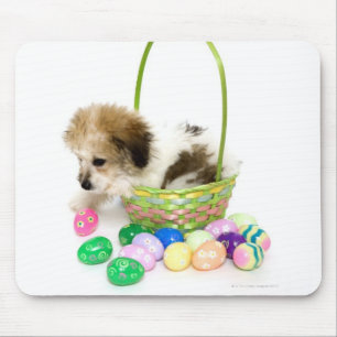 Een gemengde puppy in een paasmandje muismat