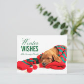 Een gemengde Vizsla puppy Briefkaart (Staand voorkant)