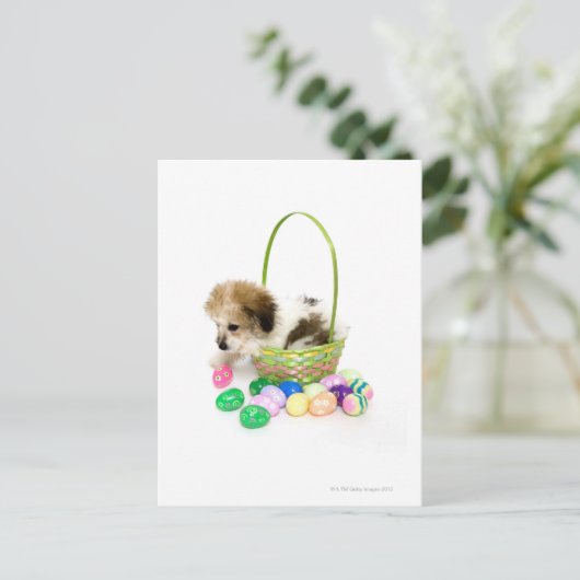 Een gemengde zitting van het rassenpuppy in een feestdagenkaart (Staand voorkant)