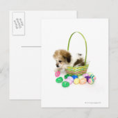 Een gemengde zitting van het rassenpuppy in een feestdagenkaart (Voorkant / Achterkant)