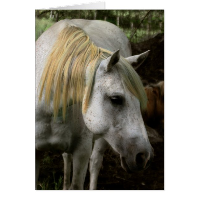 Een Gentle Soul (Voorkant)