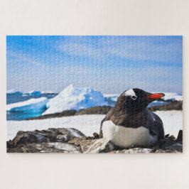 Een Gento-pinguïn die op de raketten van Antarctic Legpuzzel