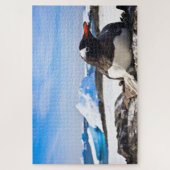 Een Gento-pinguïn die op de raketten van Antarctic Legpuzzel (Verticaal)