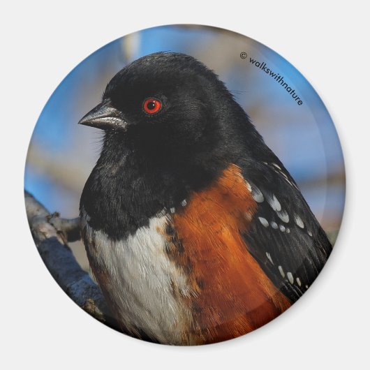 Een gepotte Towein in een boom Magneet (Voorkant)