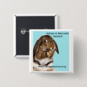 Een gered konijn aannemen! vierkante button 5,1 cm (Voorkant /achterkant)
