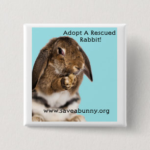 Een gered konijn aannemen! vierkante button 5,1 cm