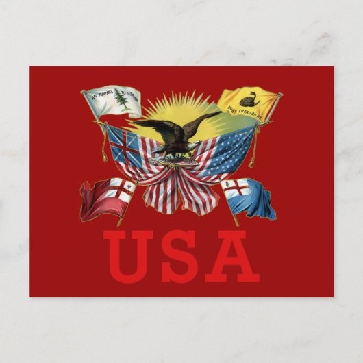 Een geschiedenis van Amerikaanse vlaggen op een T- Briefkaart (Voorkant)