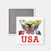 Een geschiedenis van Amerikaanse vlaggen op een T- Magneet (Voorkant / Achterkant)