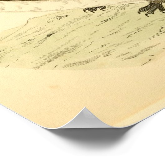 Een geschiedenis van Britse vogels 1863 ALPINE SWI Poster (Hoek)