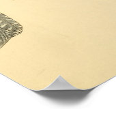 Een geschiedenis van Britse vogels 1863 BELTED-KIN Poster (Hoek)