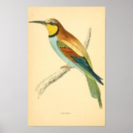 Een geschiedenis van de Britse vogels 1863 BEE-EAT Poster