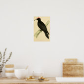 Een geschiedenis van de Britse vogels 1863 BLACK W Poster (Keuken)