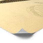 Een geschiedenis van de Britse vogels 1863 CUCKOO Poster (Hoek)