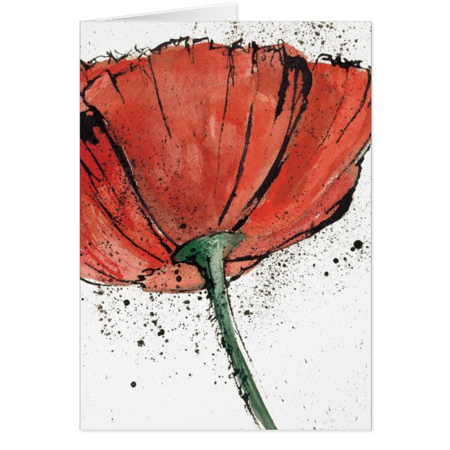 Een gesloten Bloem op een Witte Achtergrond (Voorkant)