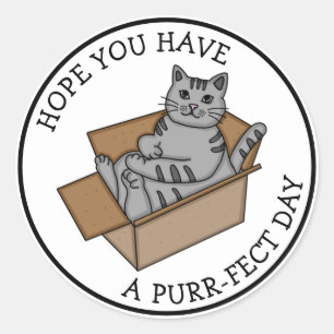 Een Gesponnen dag hebben Funny Cat in a Box Ronde Sticker