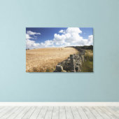 Een gestreepte draadhek gebouwd langs een stenen h canvas afdruk (Insitu (Houten vloer))