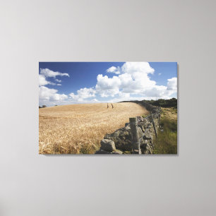 Een gestreepte draadhek gebouwd langs een stenen h canvas afdruk