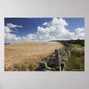 Een gestreepte draadhek gebouwd langs een stenen h poster