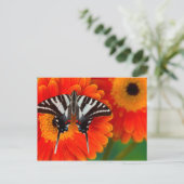 Een gestreepte Vlinder Swallowtail Briefkaart (Staand voorkant)