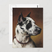 Een geweldig Briefkaart (Voorkant / Achterkant)