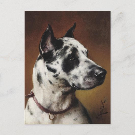 Een geweldig Briefkaart (Voorkant)