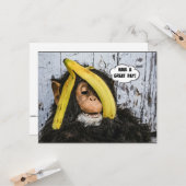 "Een geweldige dag!" Gotta Love thisHappy Chimp Kaart (Voorkant / Achterkant in situ)