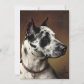 Een geweldige Deen | Carl Reichert (Voorkant)