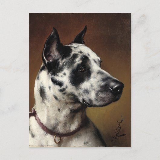 Een geweldige Deen | Carl Reichert Briefkaart (Voorkant)