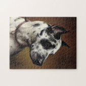 Een geweldige Deen | Carl Reichert Legpuzzel (Horizontaal)